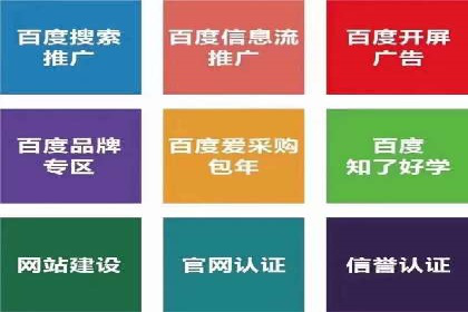 竞价SEM托管案例：精准营销的利器